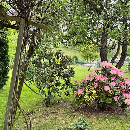 別荘 Haeuschen Cabarz