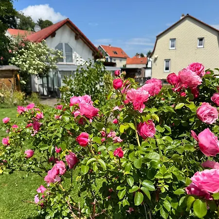 Hébergement de vacances Haeuschen