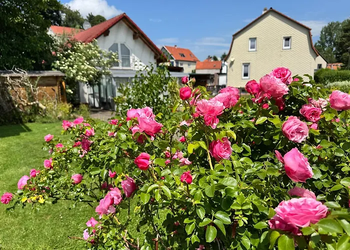 Vakantiehuis Haeuschen
